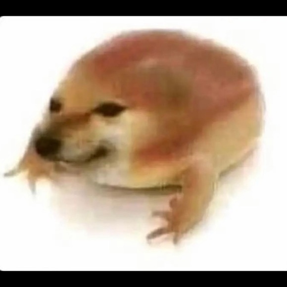 Meet your Posher, Yoyo - Picture 1 of 1